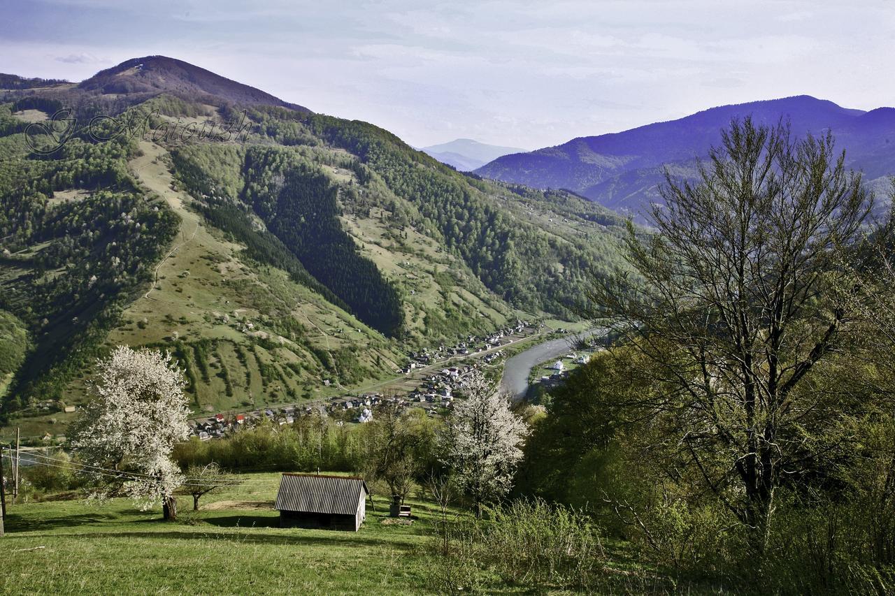 Dream Hostel Carpathians Rakhiv Ngoại thất bức ảnh